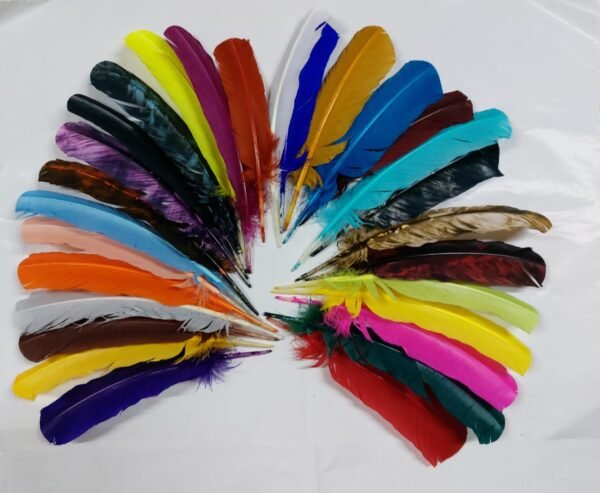 Plumas paquete 450gr 250piezas aprox