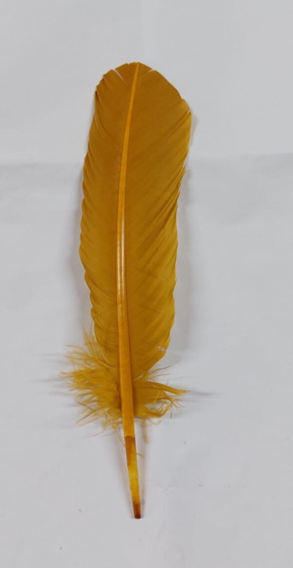 plumas para creaciones 230 gr. 150piezas aprox
